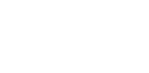 Castex Automotriz - Concepción