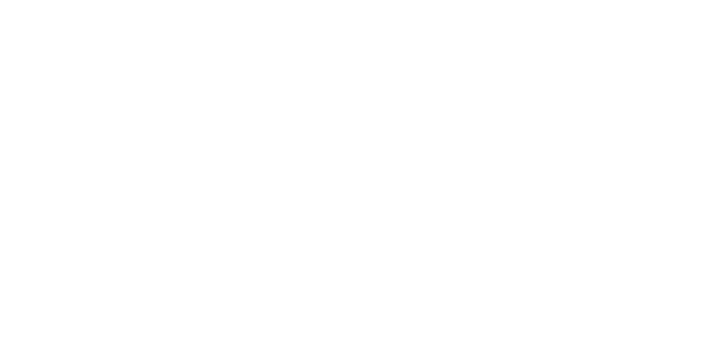 Castex Automotriz - Concepción
